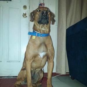 Meet your Posher, Kristal